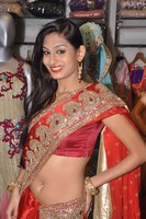 Swetha Saree Photos